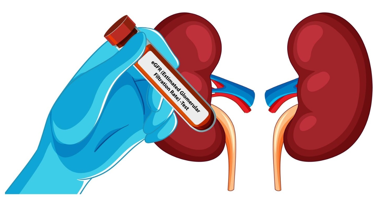 KIDNEY FUNCTION TESTS  NEAR ME